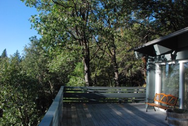 View of deck and trees